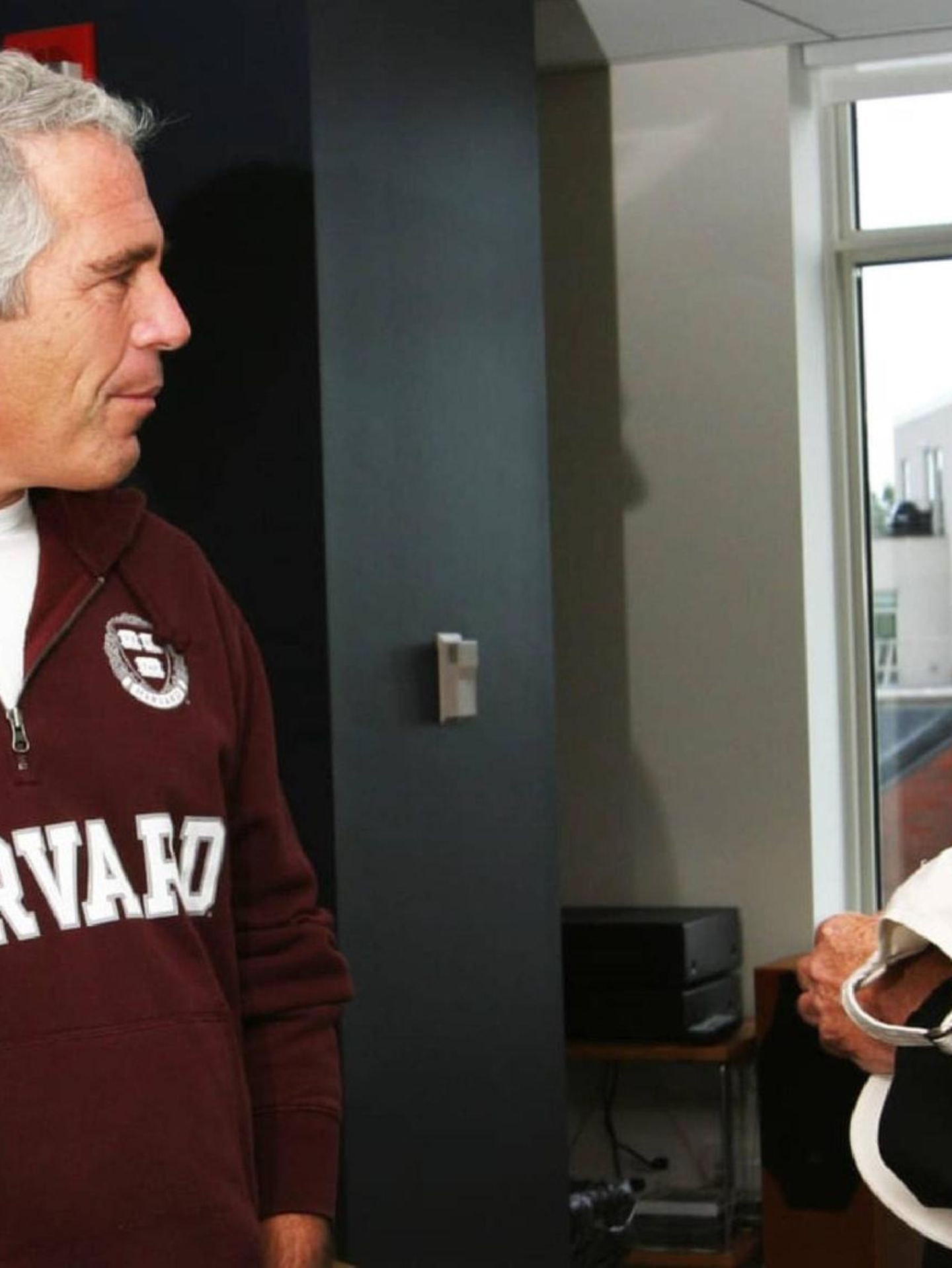 Das Bild zeigt Jeffrey Epstein mit dem Starjuristen und fürheren Havard-Professor Alan M. Dershowitz