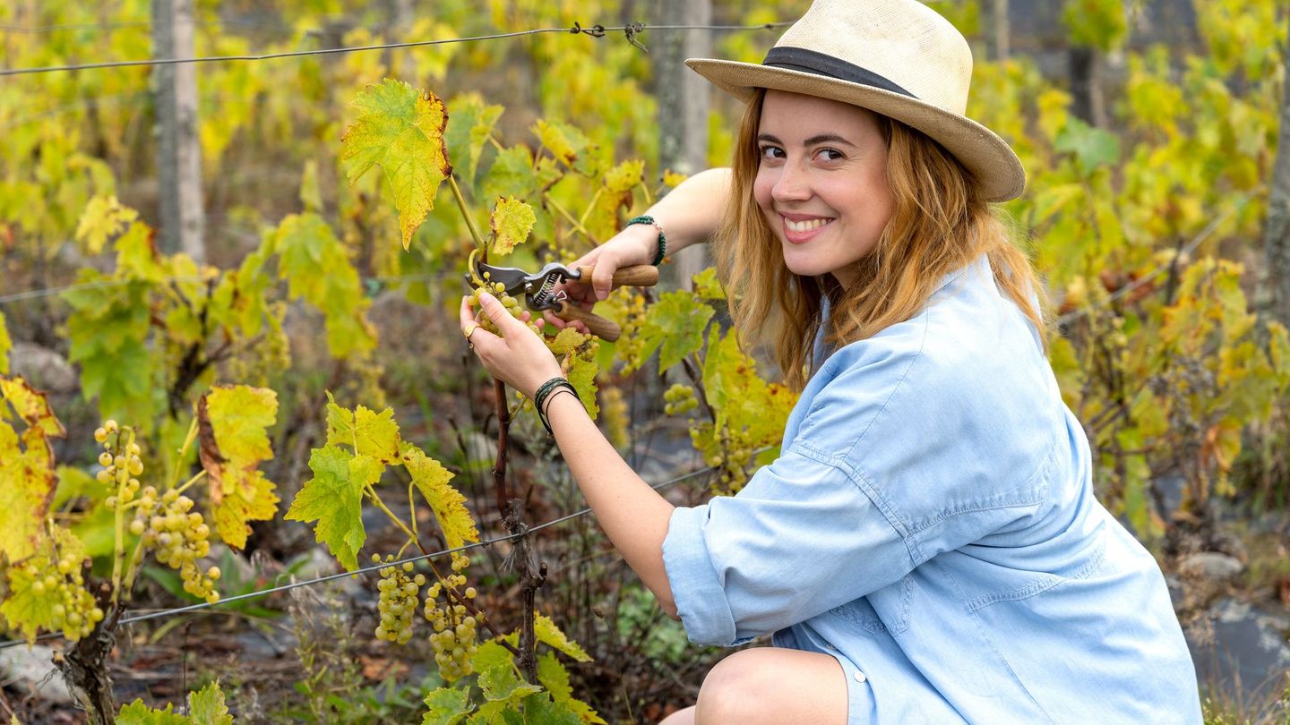 Minna (Meriel Hinsching) möchte in Nordschweden ein Weingut etablieren. Ob das klappt?