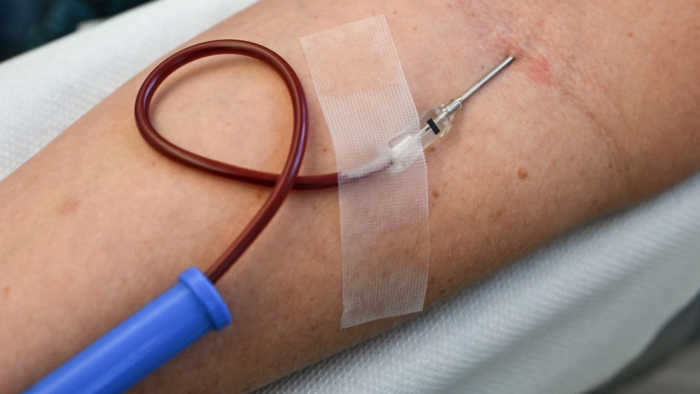 Gesundheit: Mehr junge Menschen als Blutspender gesucht