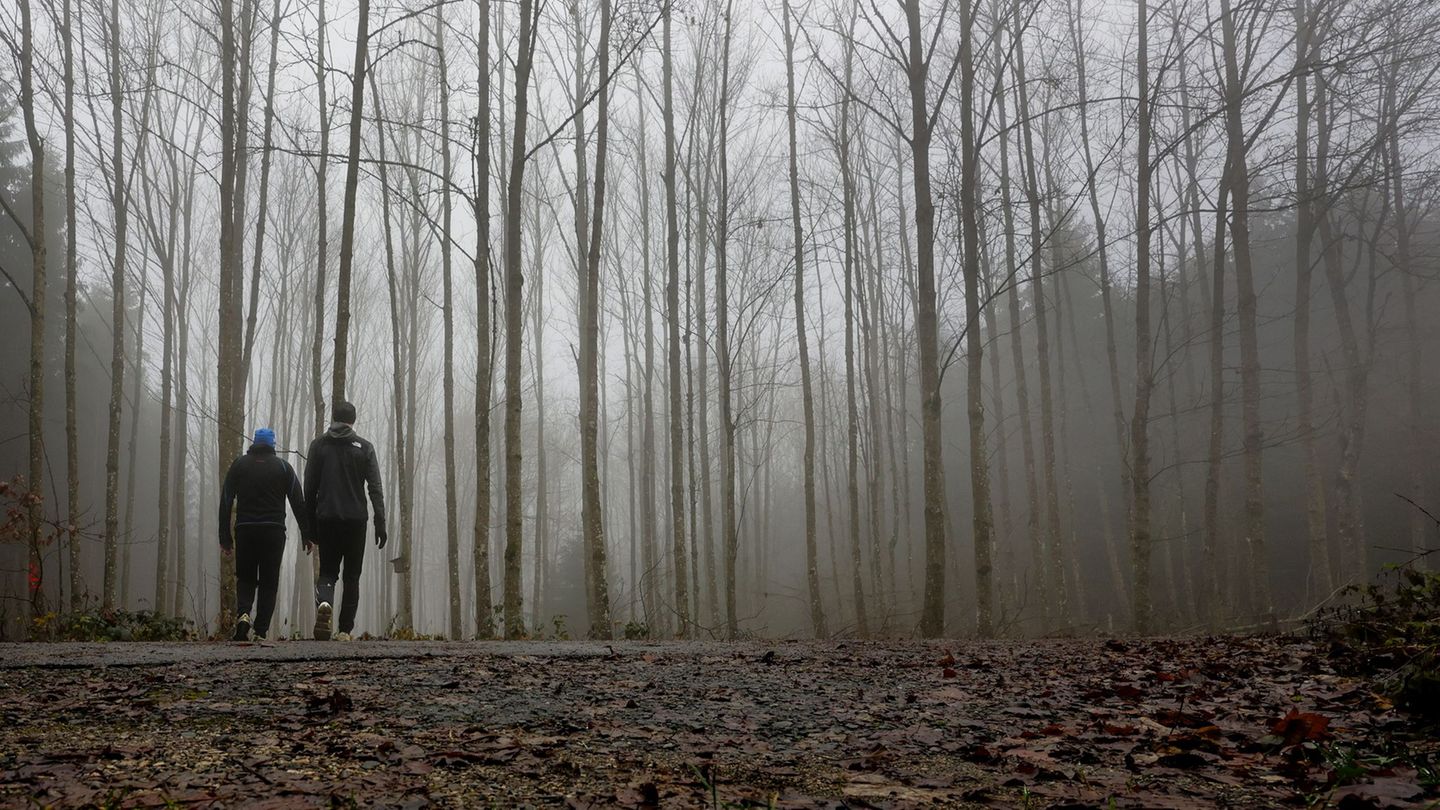 Wetter: Wolken, Nebel und wenig Sonne: Wochenende zeigt graue Seite