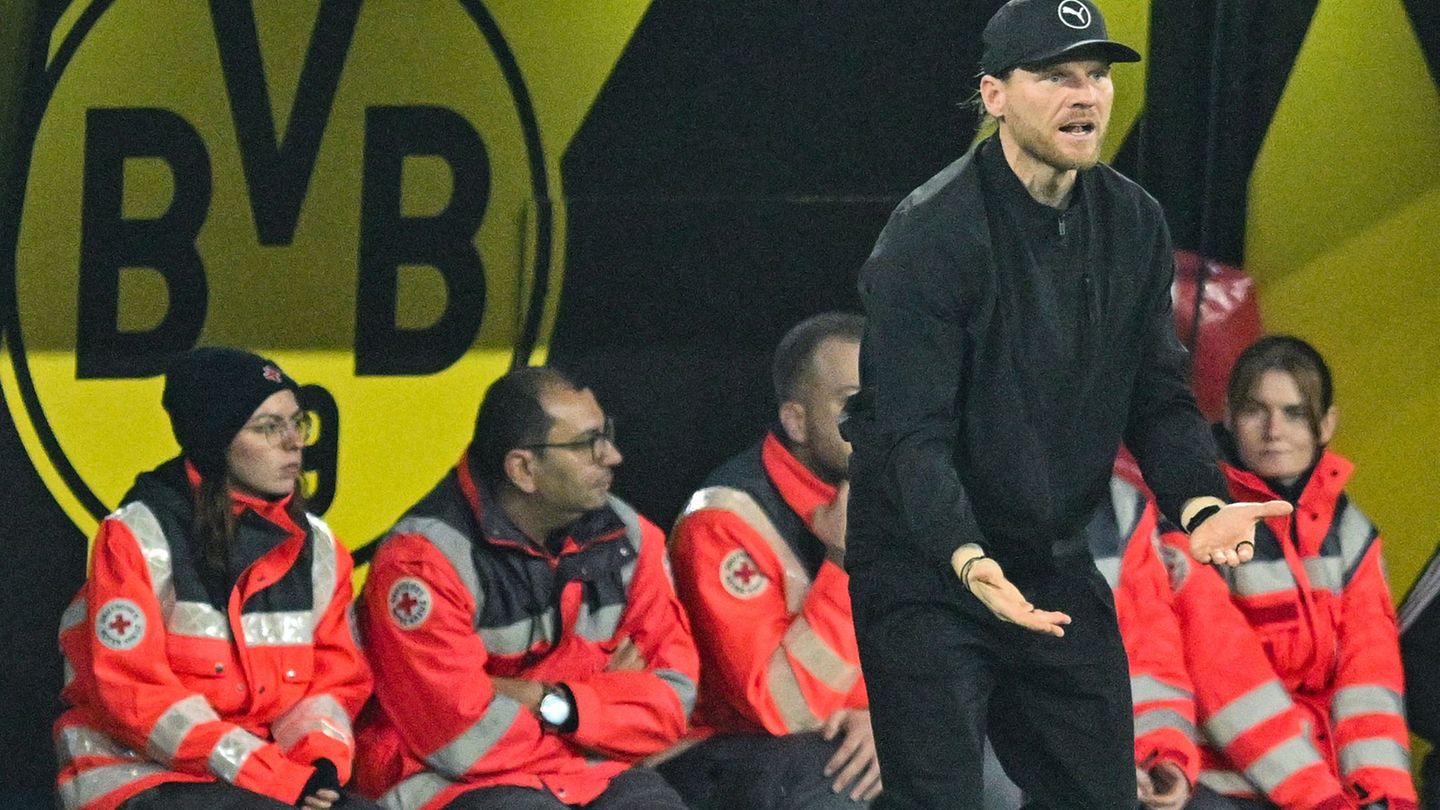 Eugen Polanski hat Borussia Mönchengladbach stabilisiert. Foto: Bernd Thissen/dpa