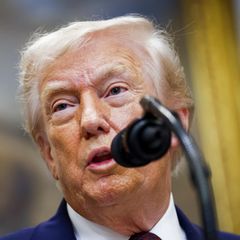 Porträt Donald Trump