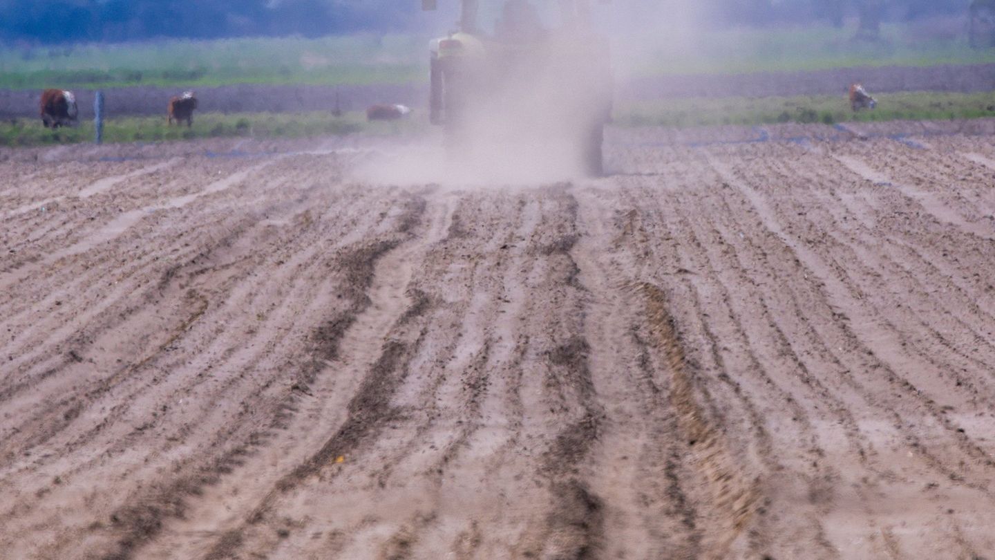 Thüringer Landwirte haben in diesem Jahr mehr als 217 Millionen Euro an EU-Zahlungen erhalten. (Archivbild) Foto: Jens Büttner/d
