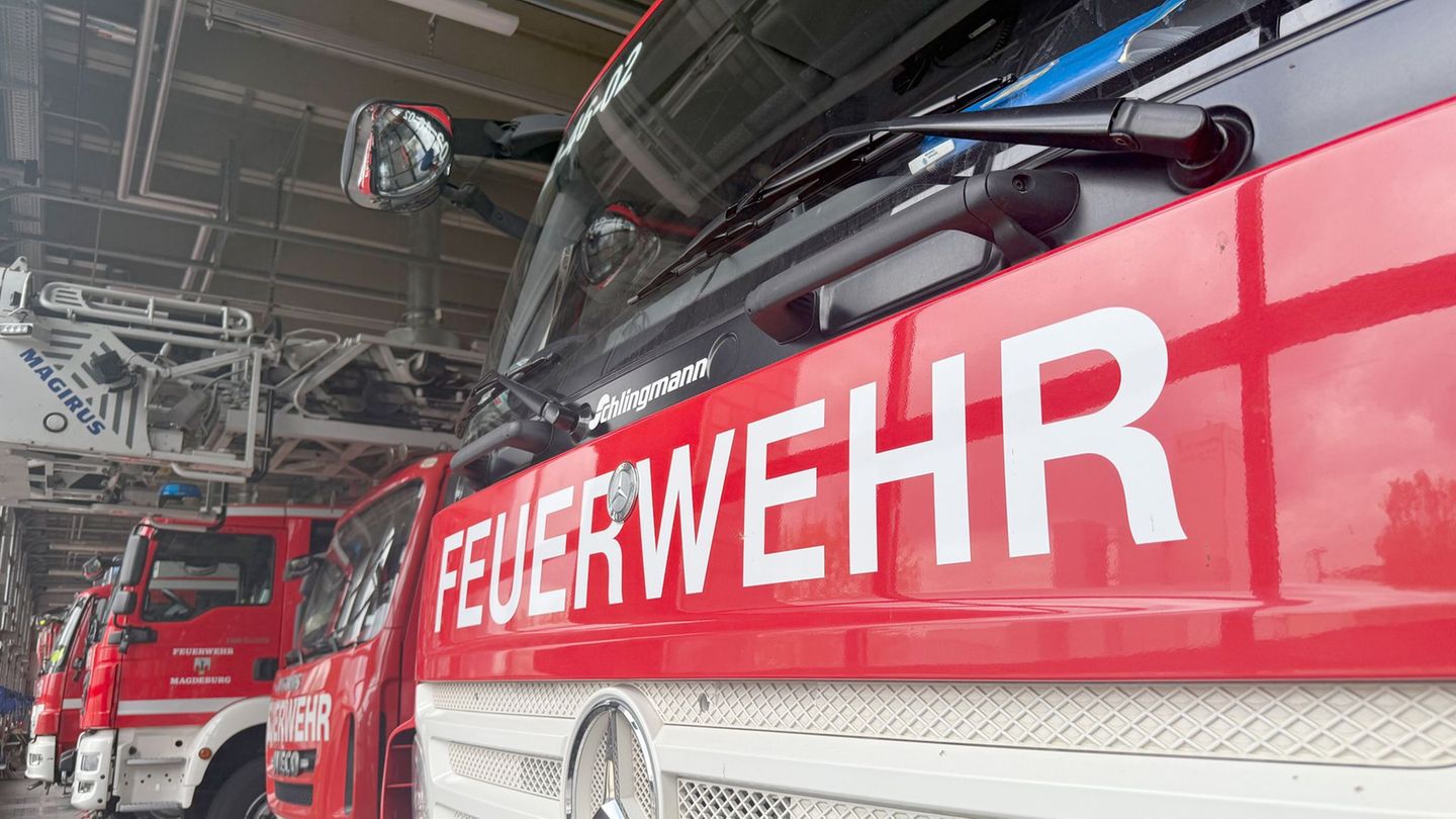 Feuerwehreinsatz in Gadebusch: Bei einem Milchviehbetrieb brennt es am Morgen. (Symbolbild) Foto: Sabina Crisan/dpa