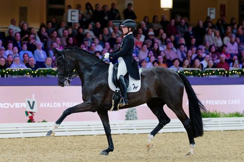 Für Isabell Werth war Frankfurt das erste Turnier nach einer längeren Pause. Foto: Uwe Anspach/dpa