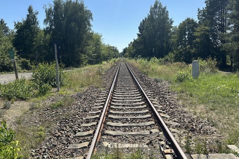 Bei der Polizei gehen täglich Vermisstenanzeigen ein, wobei sich die meisten rasch erledigen, weil die Verschwundenen nach kurze