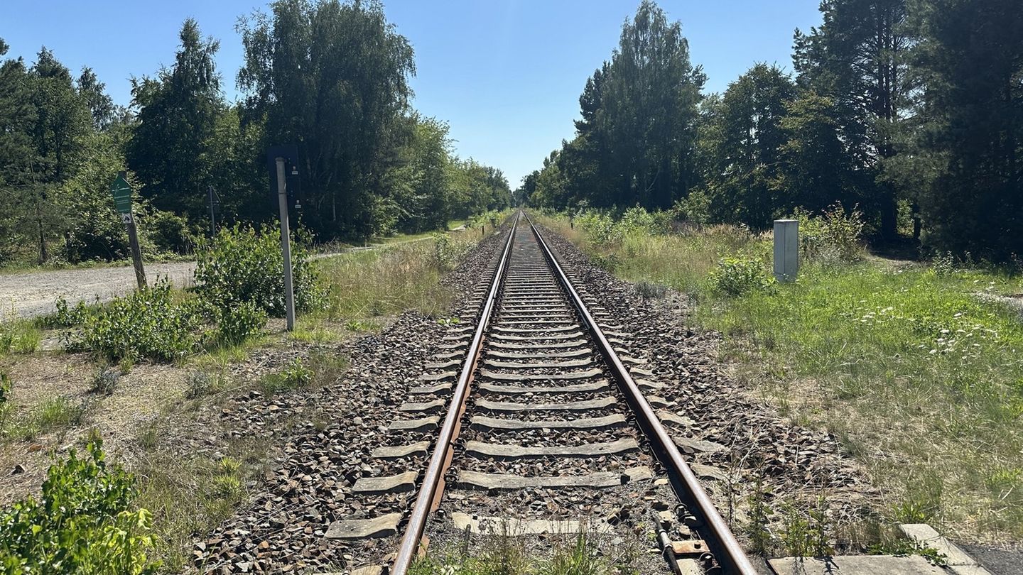 Bei der Polizei gehen täglich Vermisstenanzeigen ein, wobei sich die meisten rasch erledigen, weil die Verschwundenen nach kurze