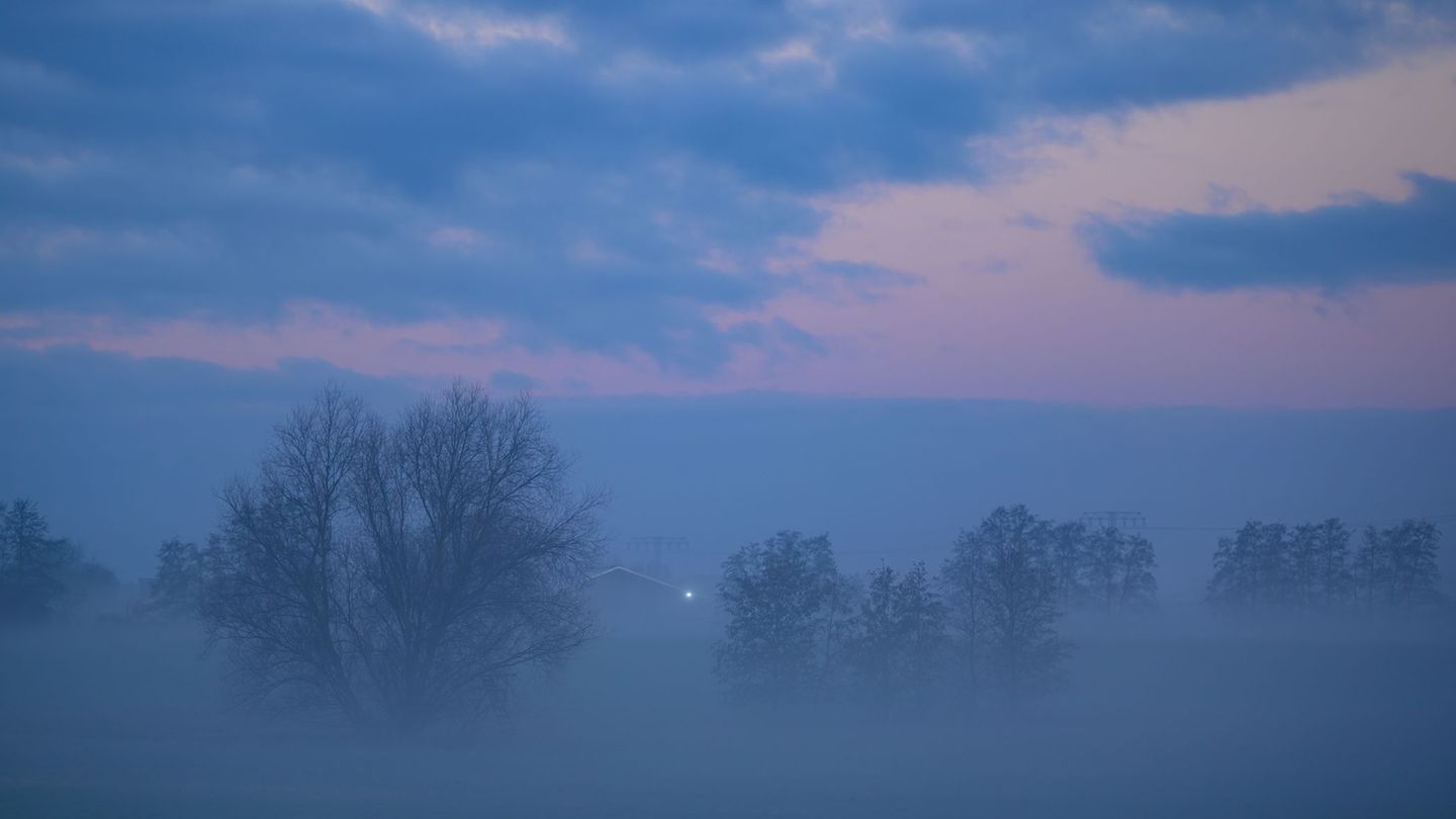 Die Meteorologen kündigen Nebel und Wolken am Montag an. (Symbolbild) Foto: Patrick Pleul/dpa