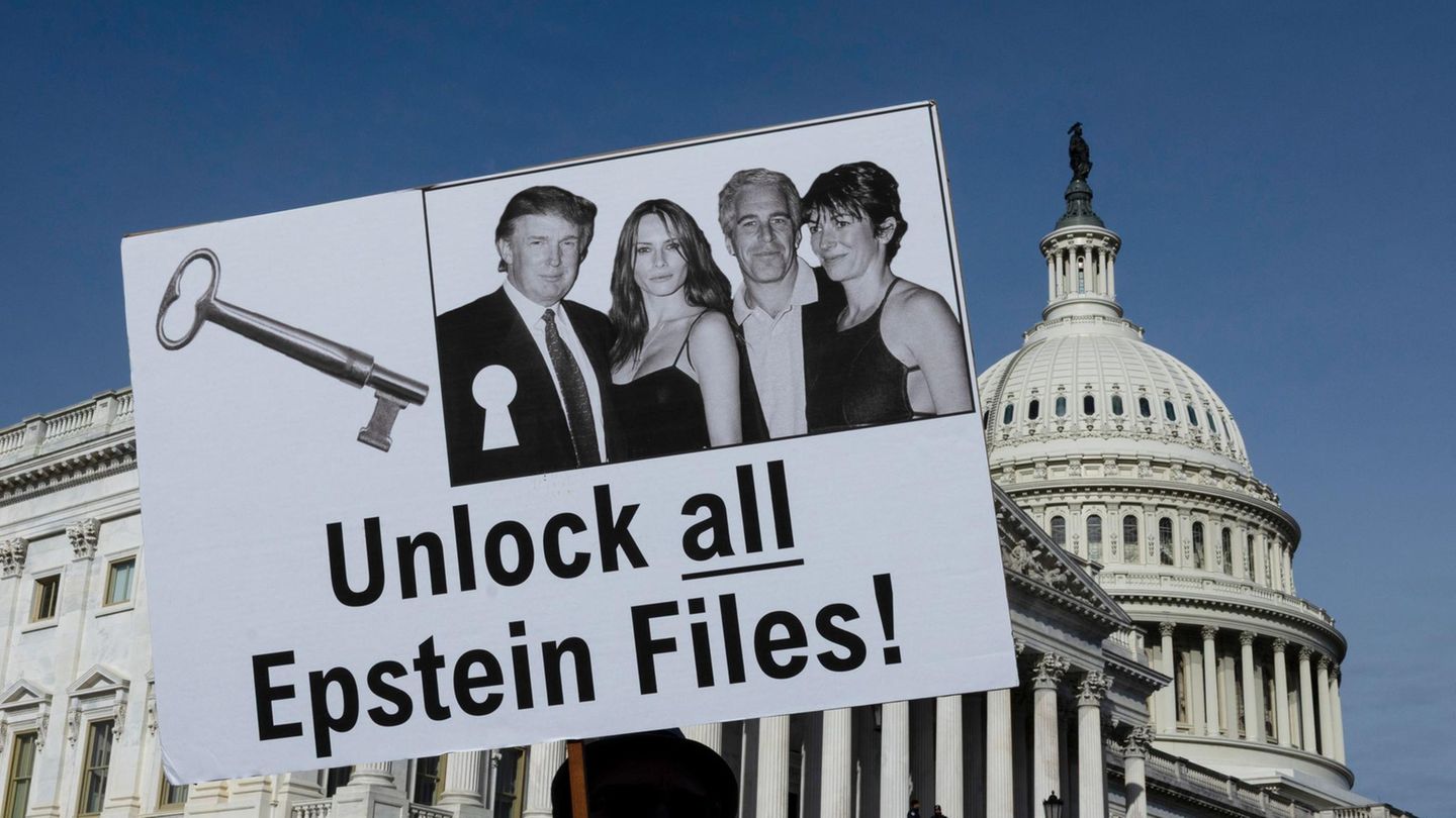 Demonstranten halten Schilder während einer Pressekonferenz zum Epstein Files Transparency Act