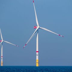 Die Grünen fordern von der Landesregierung mehr Tempo und Mut beim Ausbau der Windkraft-Nutzung auf See. (Symbolbild) Foto: Stef