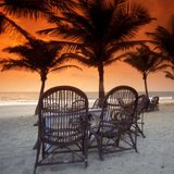 Die ganze Packung indischer Kultur gibt es im Südwesten Indiens: Kochi mit seiner reichhaltigen Geschichte und den unzähligen, unter anderem arabischen, griechischen und jüdischen Einflüssen. Und dann an die paradiesischen Strände von Goa  