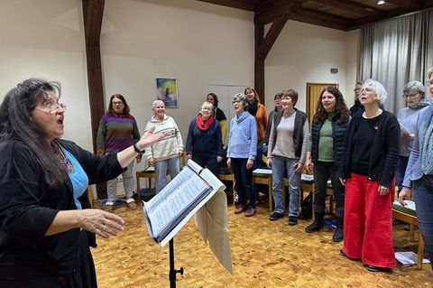 Besonders gefragt sind zeitlich begrenzte Chorprojekte - etwa für Auftritte im Advent. Foto: Katja Sponholz/dpa