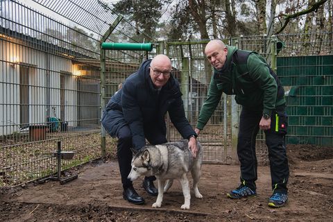 Brandenburgs Ministerpräsident Dietmar Woidke (l) besucht vor dem Weihnachtsfest das Tierheim Potsdam. Foto: Paul Zinken/dpa