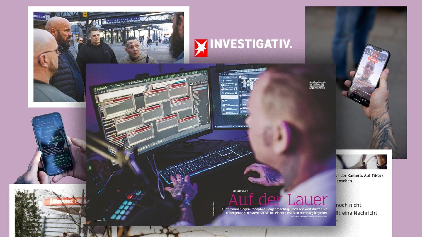 Texte des Jahres: Collage zu Pedohunter