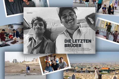 Texte des Jahres: Collage zu Die letzten Brüder