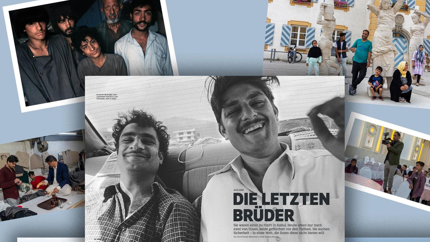 Texte des Jahres: Collage zu Die letzten Brüder