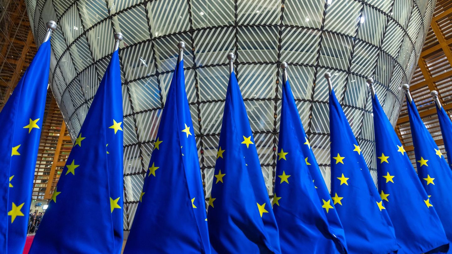 Mit Geld aus einem EU-Förderprogramm wurden in MV einige Vorhaben unterstützt. (Symbolbild) Foto: Michael Kappeler/dpa