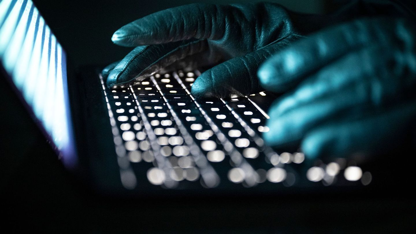 Die Betrüger schalteten eine Internetanzeige. (Symbolbild) Foto: Philip Dulian/dpa