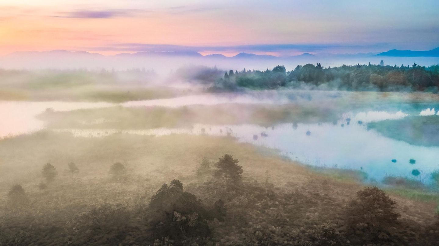 Comeback der Moore: Die Rettung einer vergessenen Landschaft