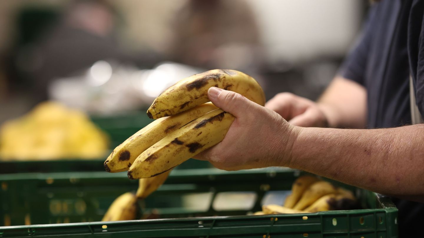 Aus der Jahresbilanz geht hervor, dass landesweit rund 900.000 Abholungen an den Ausgabestellen in Sachsen registriert worden si