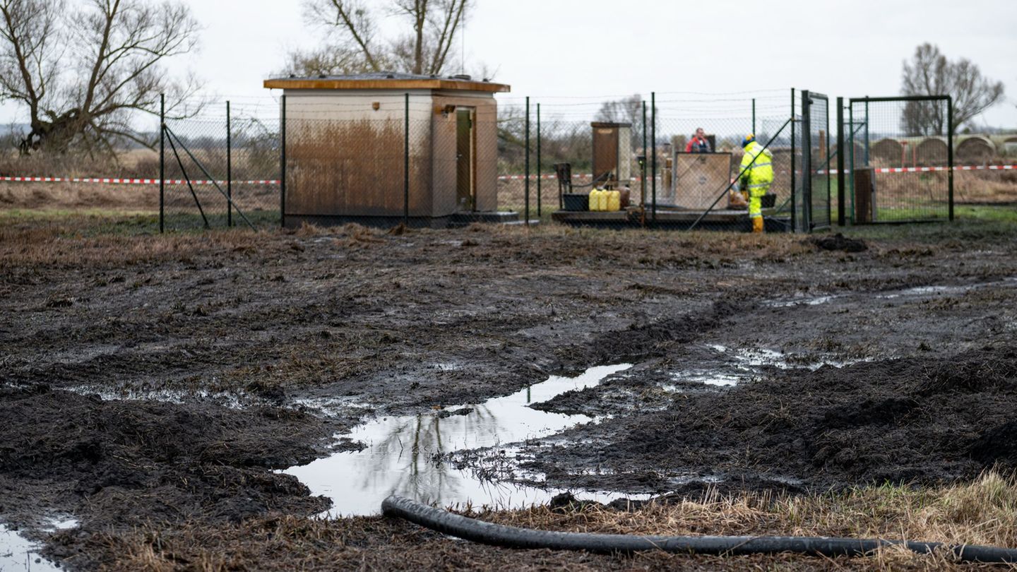 Aus einem Leck an der Öl-Pipeline der Raffinerie PCK in der Uckermark waren mindestens 200.000 Liter Öl ausgetreten. (Archivbild
