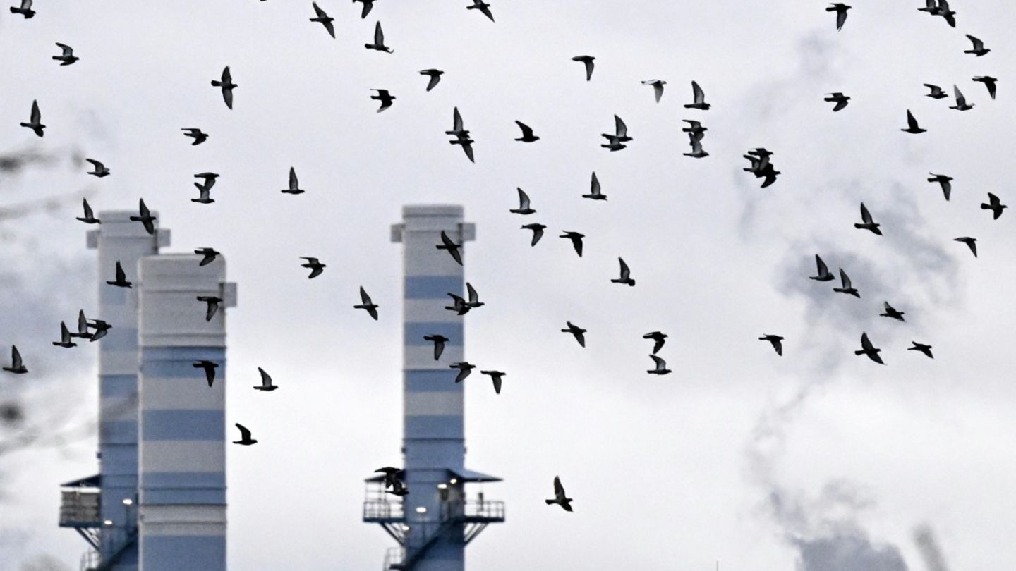 Chemieindustrie in Frankfurt am Main