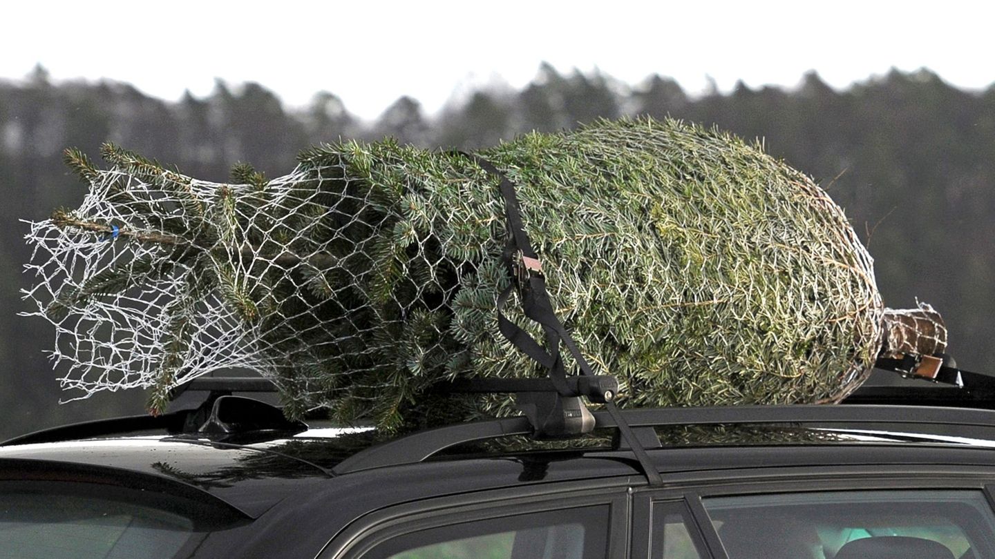 Der Christbaum war scheinbar nicht sicher befestigt. (Symbolbild) Foto: David-Wolfgang Ebener/dpa/dpa-tmn