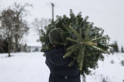 Polizisten beobachteten, wie die Männer den Weihnachtsbaum wegtragen wollten. (Symbolbild) Foto: Oliver Berg/dpa