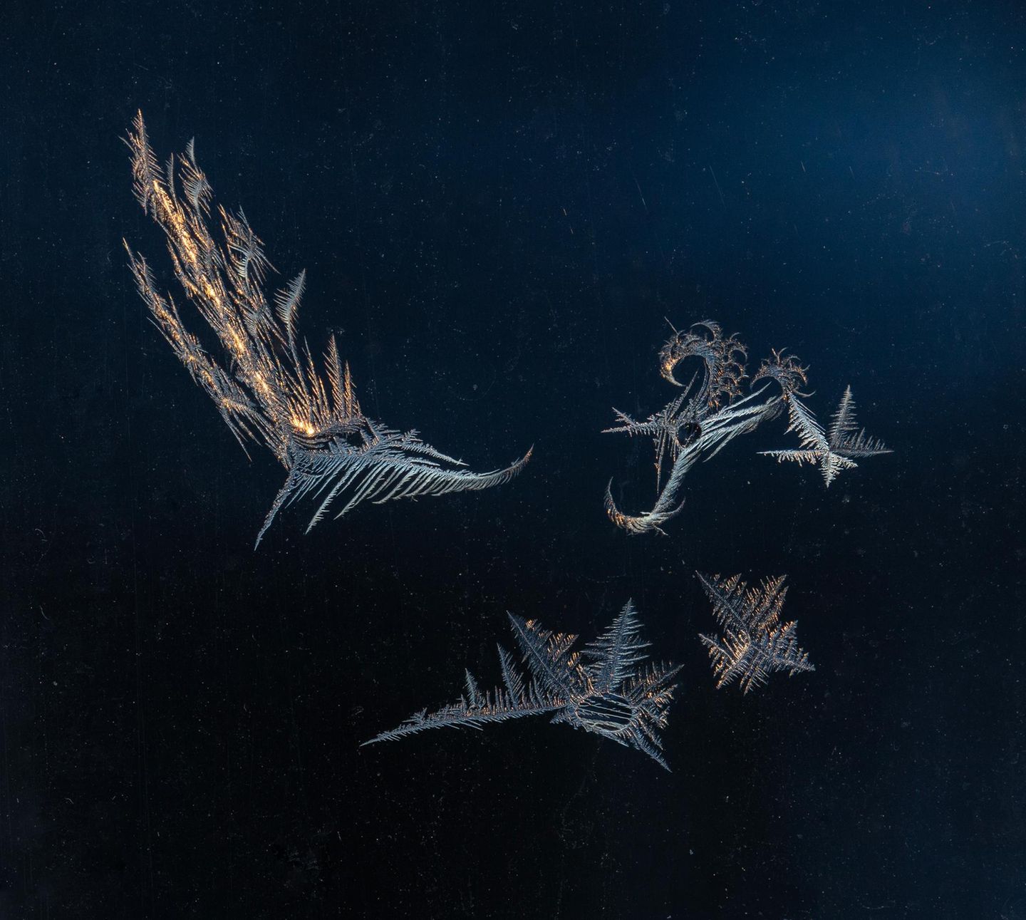 Eisige Kristallkeime