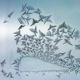 Eisiger Rorschachtest