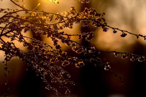 An Heiligabend war es in NRW kalt und sonnig. Foto: Rolf Vennenbernd/dpa