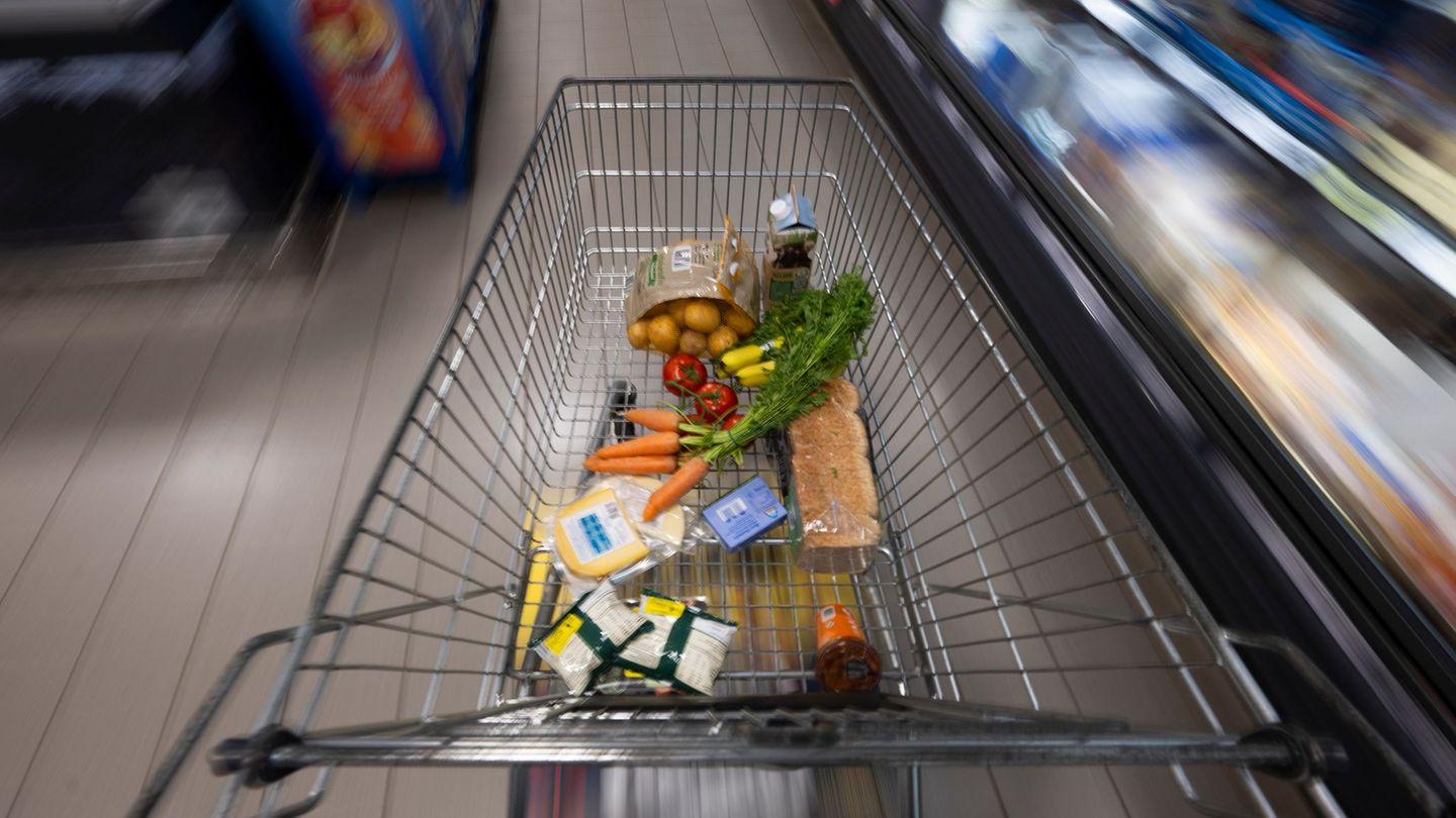 Ein Supermarktmitarbeiter stoppte die Diebe mit den vollen Einkaufswagen. (Symbolbild) Foto: Philip Dulian/dpa