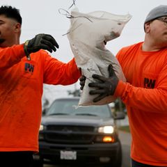 Hilfskräfte platzieren Sandsäcke in Altadena