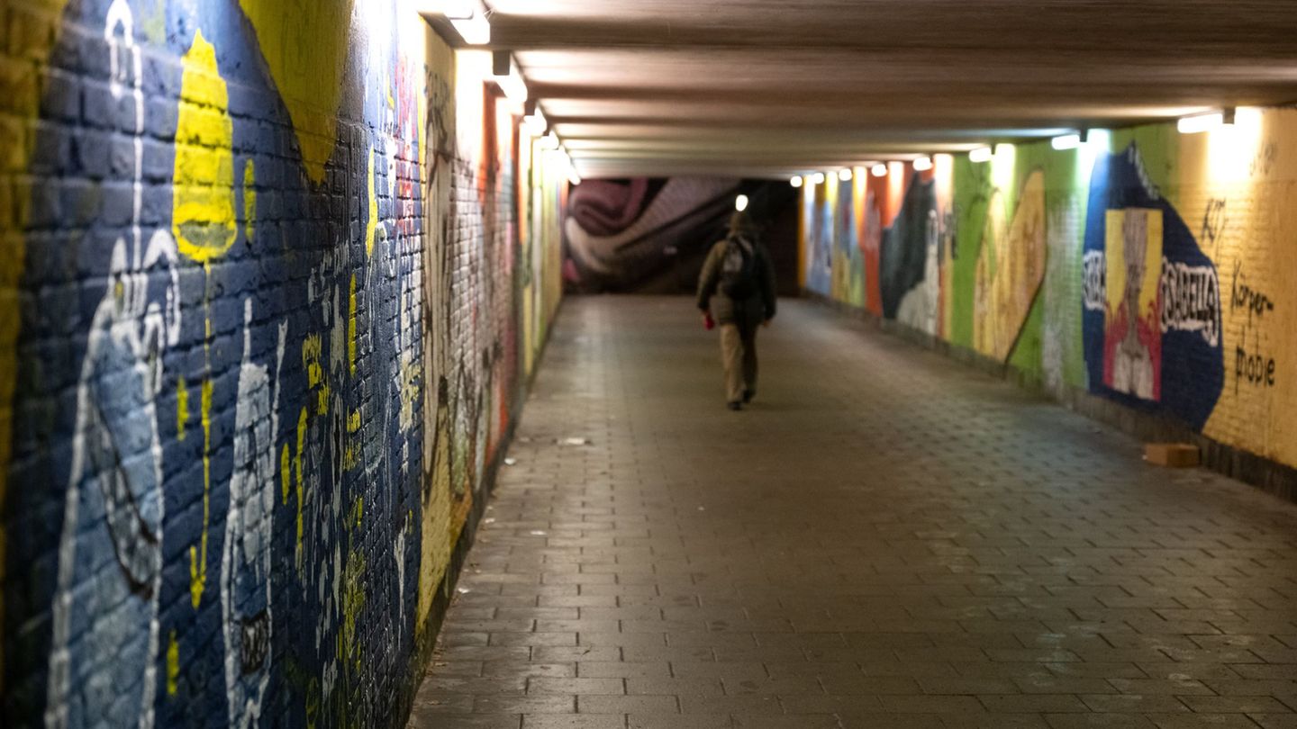 Graffitis und Tags verursachen Jahr für Jahr enormen Schaden. (Symbolbild) Foto: Sven Hoppe/dpa