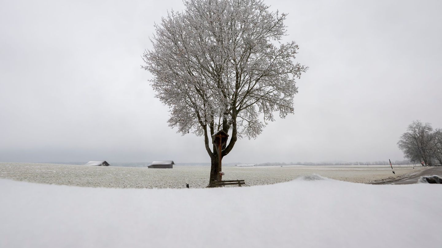 In Teilen Bayerns rieselte an Heiligabend Schnee herunter. Foto: Peter Kneffel/dpa