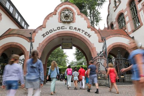 Im Zoo Leipzig kosten die Tickets im nächsten Jahr etwas mehr - in Dresden, Chemnitz und Görlitz bleiben die Preise stabil. (Arc