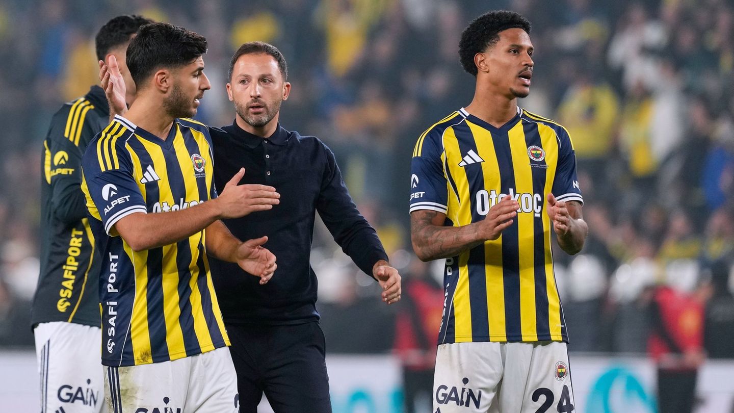 Auch Fenerbahçe-Trainer Domenico Tedesco verfolgt das Geschehen um seinen Club-Präsidenten. (Archivbild) Foto: Khalil Hamra/AP/d