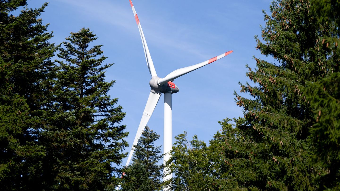 Kommen nach Gesetzesänderung viele Windräder in Thüringens Wälder? (Illustration) Foto: Sven Hoppe/dpa