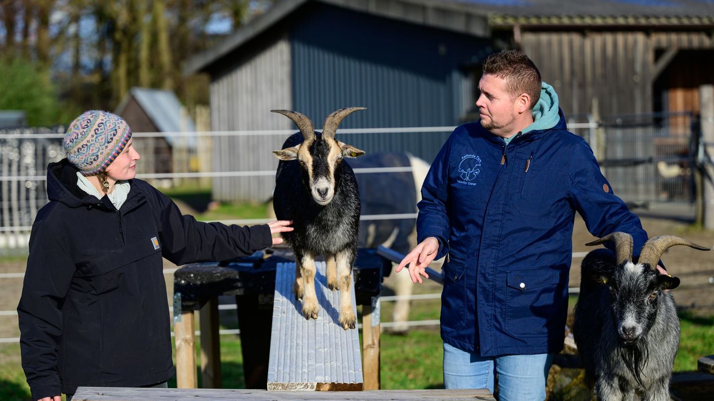Ergotherapeutin Nina Steinberg und Sebastian Cramer führen eine kleine Übung mit Ziegen durch. (Archivbild) Foto: Philipp Schulz