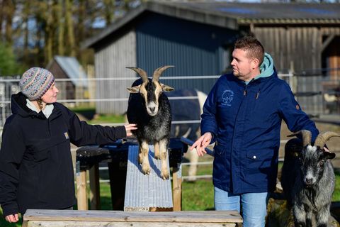 Ergotherapeutin Nina Steinberg und Sebastian Cramer führen eine kleine Übung mit Ziegen durch. (Archivbild) Foto: Philipp Schulz