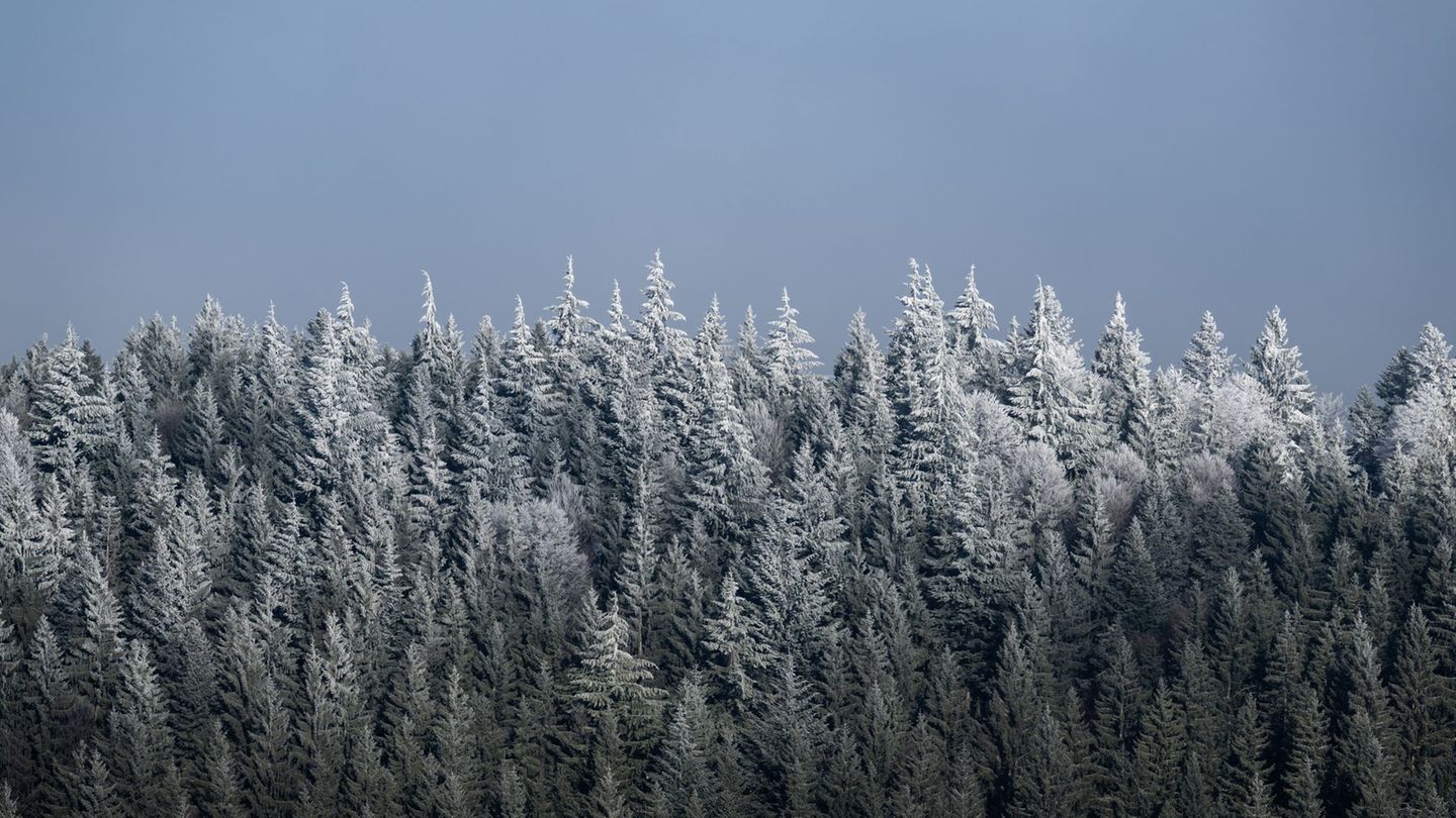 Wer bekommt die Sonne zu sehen? Das ist laut Deutschem Wetterdienst ein "Glücksspiel". (Archivbild) Foto: Silas Stein/dpa