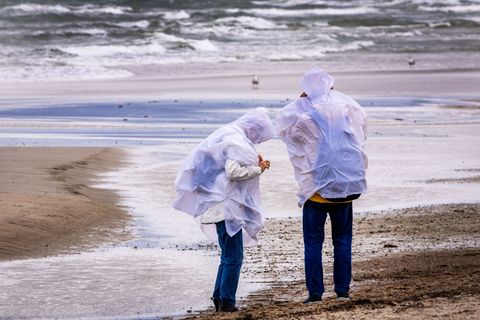 Der Wind an der Nordsee bläst das gesamte Wochenende über. (Symbolbild) Foto: Jens Büttner/dpa