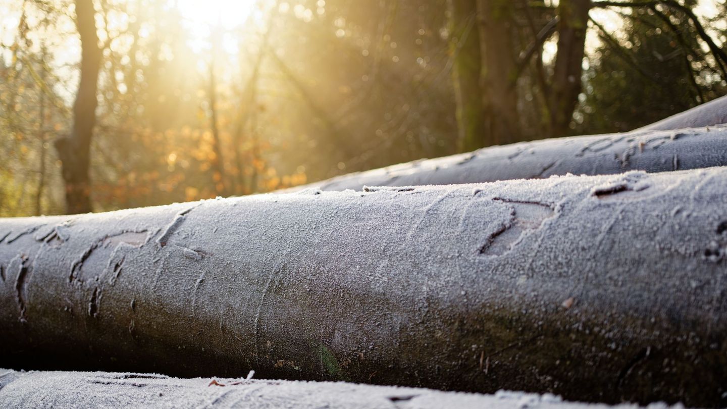 Das Wetter in Hessen bringt Sonne und Frost (Archivbild) Foto: Uwe Anspach/dpa