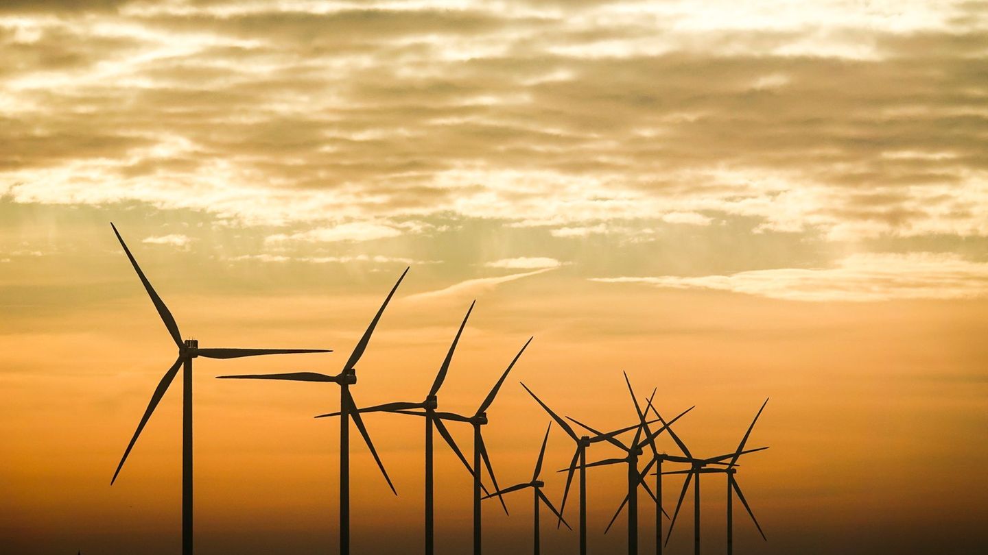Grüner Strom: Windbranche im Norden sieht Ausbau weiter auf Kurs