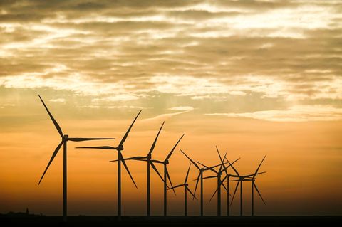 Mittlerweile sind Windräder mit einer Gesamtleistung von 9,5 Gigawatt in Schleswig-Holstein ans Netz gegangen. (Symbolbild) Foto