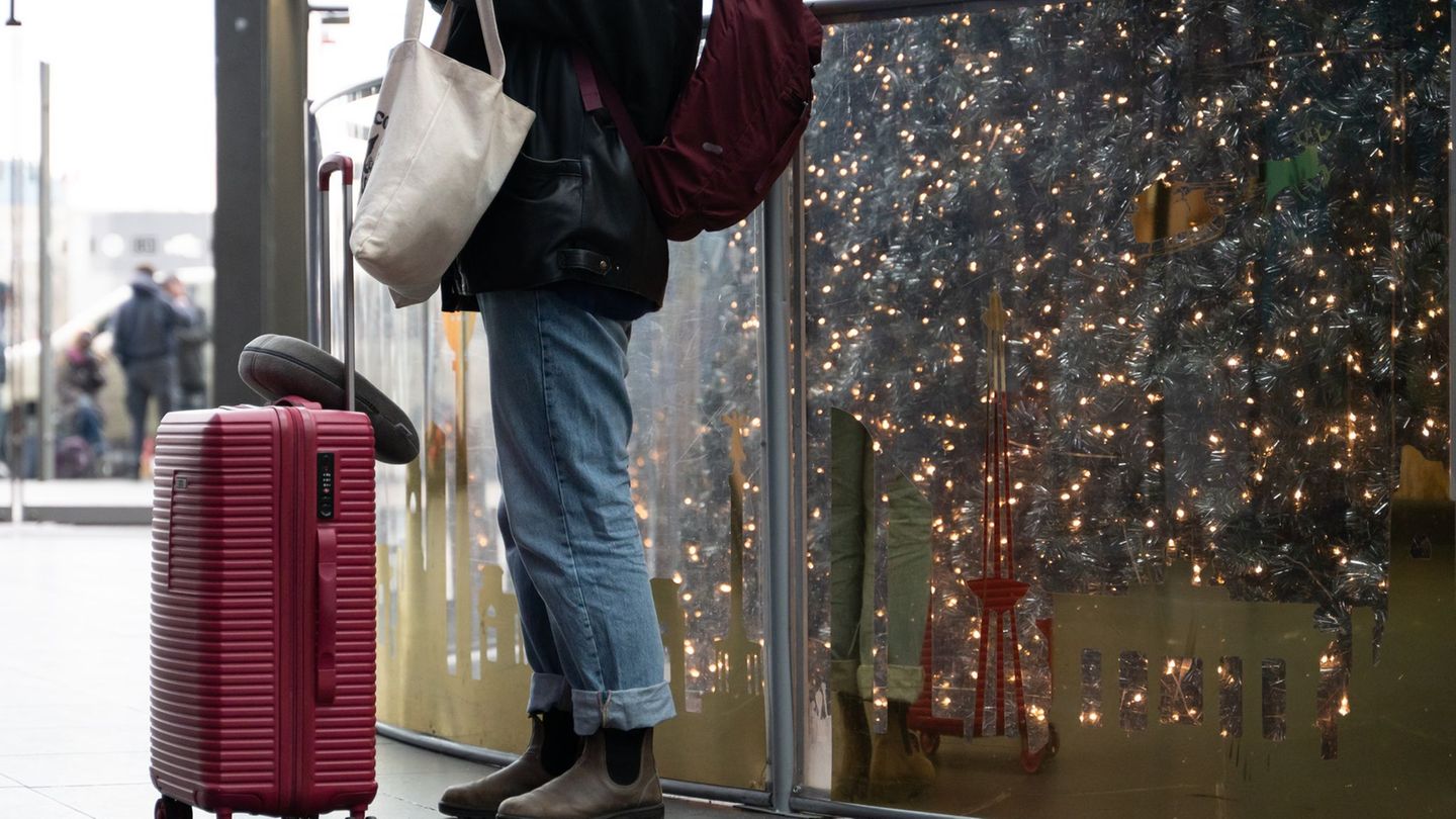 Bahn zufrieden: Über Weihnachten waren die Züge gut ausgelastet und ziemlich pünktlich. (Archivbild) Foto: Markus Lenhardt/dpa