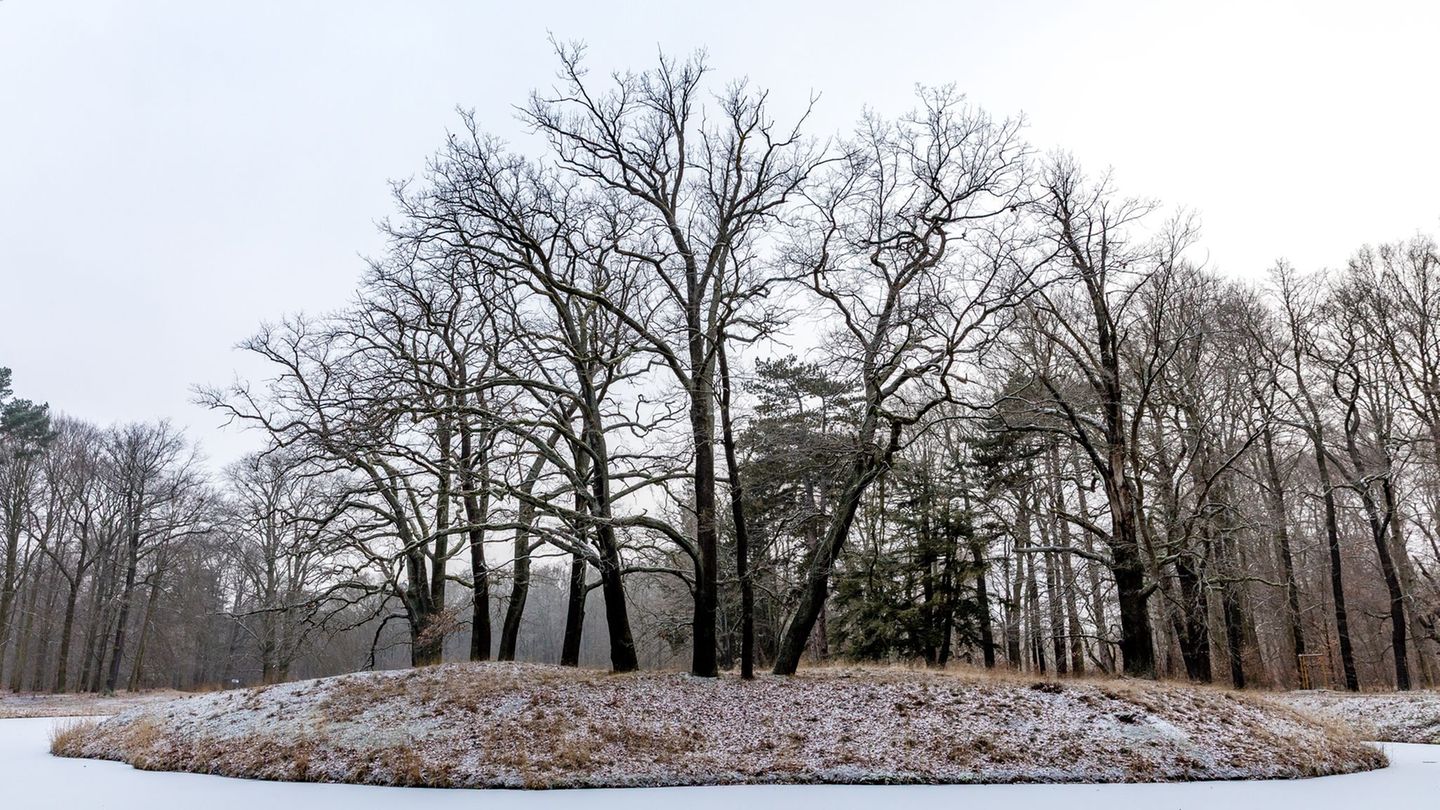 In Berlin und Brandenburg sinken die Temperaturen auch in den kommenden Nächten unter den Gefrierpunkt. Foto: Frank Hammerschmid