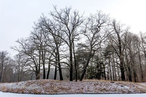 In Berlin und Brandenburg sinken die Temperaturen auch in den kommenden Nächten unter den Gefrierpunkt. Foto: Frank Hammerschmid