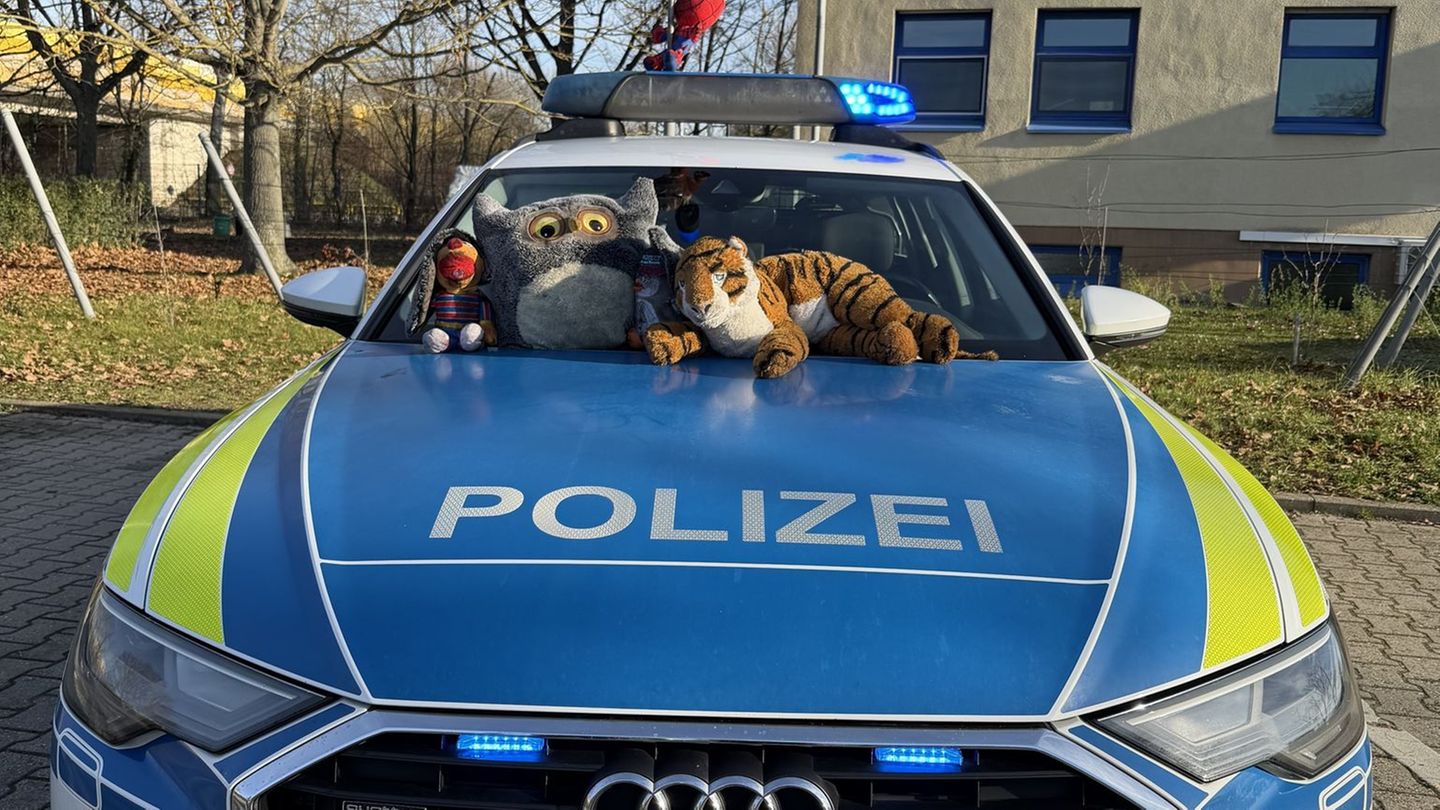 Ein vermeintlicher Tiger auf der Autobahn entpuppte sich als Stofftier. Foto: --/Polizeiautobahnstation Ruchheim/dpa