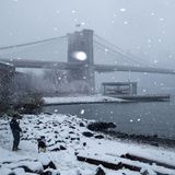 Dicke Flocken am Hudson River